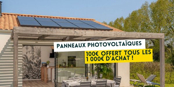 offre panneaux photovoltaïques 1000€ = 100€ de remise visuel