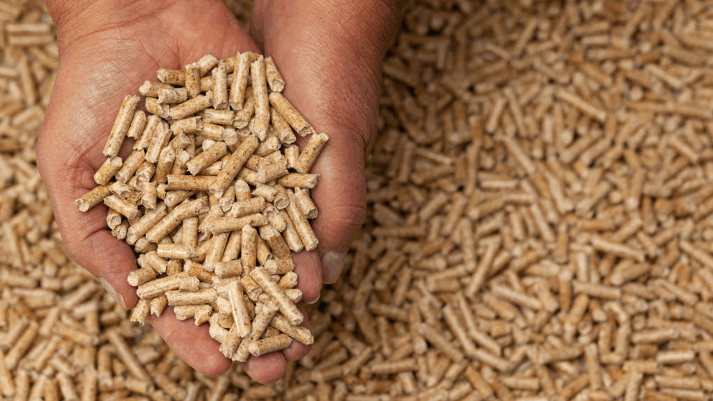 Des pellets certifiés DIN+ ou ENplus : comment bien choisir vos granulés de bois ?