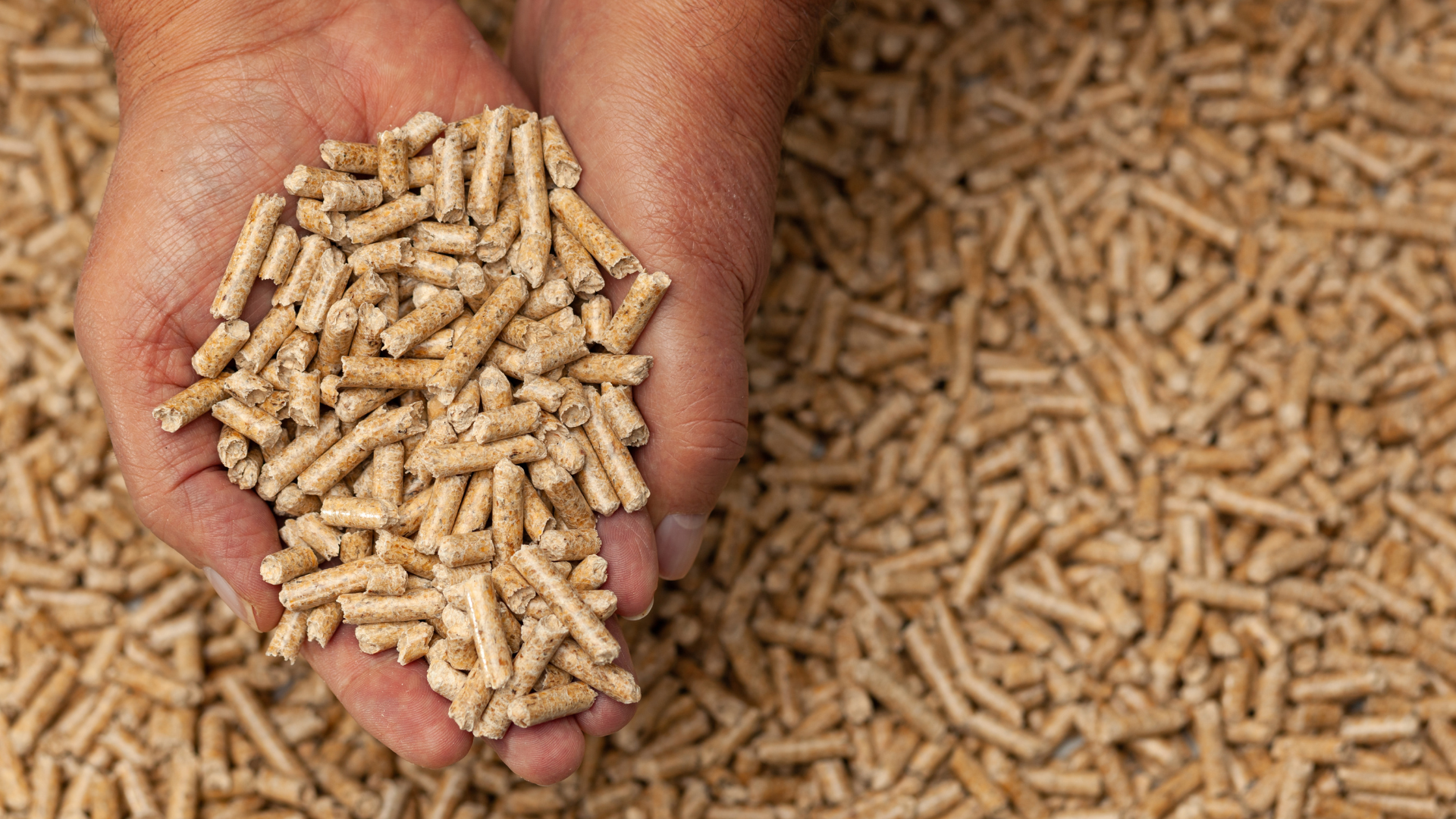 Des pellets certifiés DIN+ ou ENplus : comment bien choisir vos granulés de bois ?